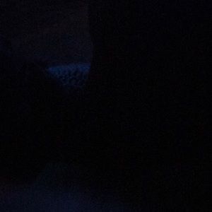 Meet your Posher, Jinjur